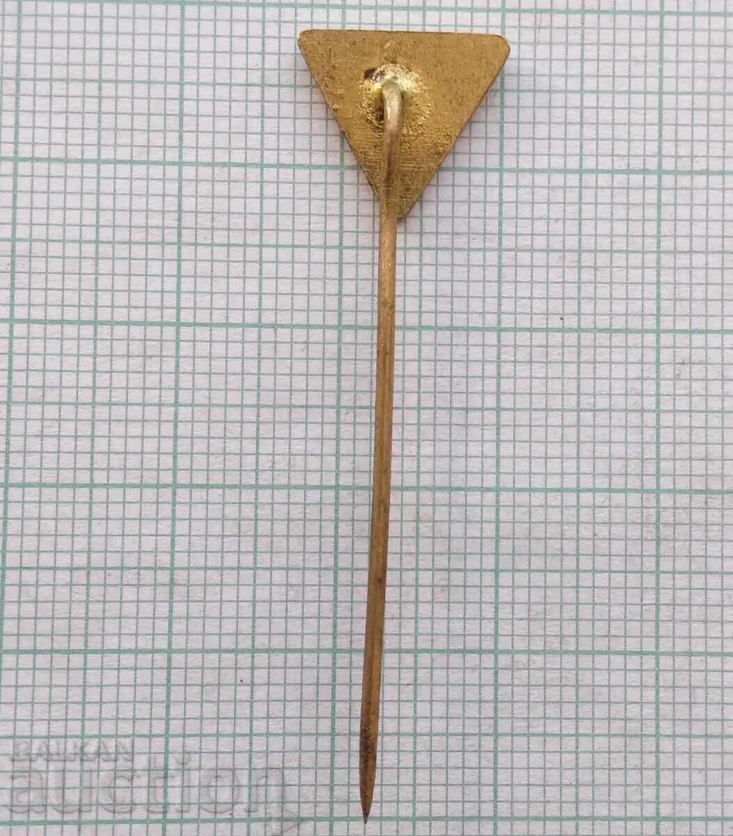 Auction  17848 Badge