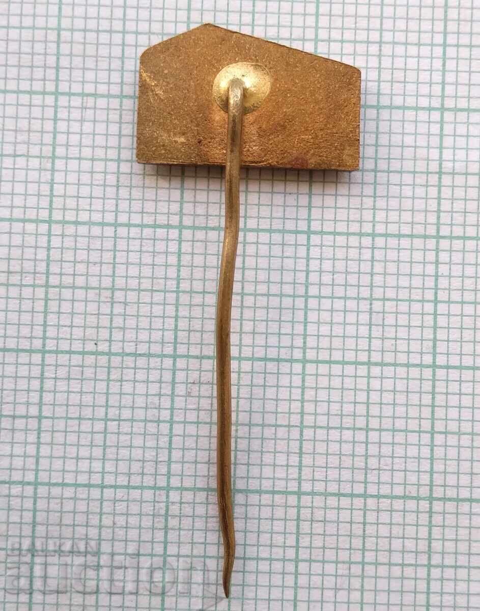 Licitație 17852 Insigna Licitație 17852 Insigna