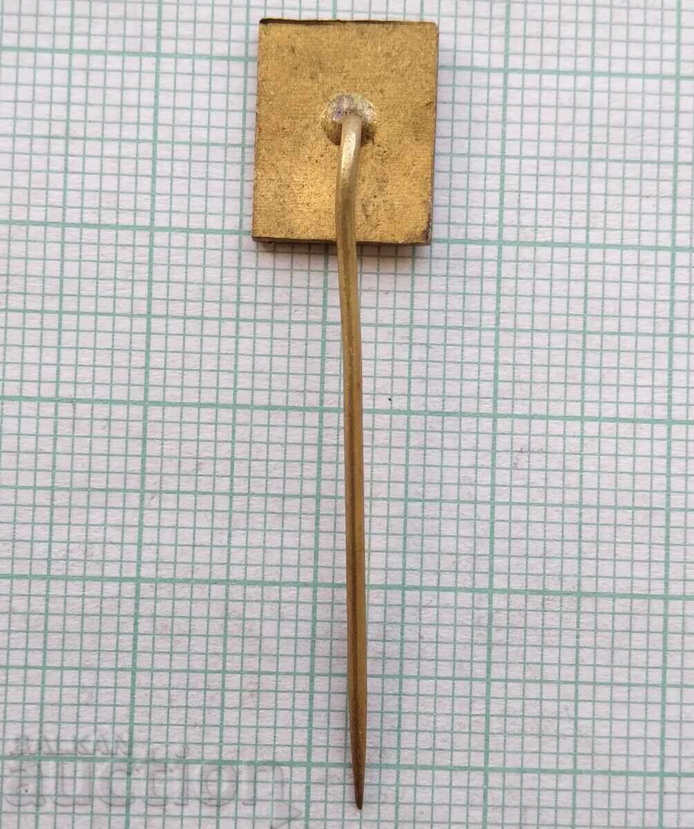 Auction  17853 Badge