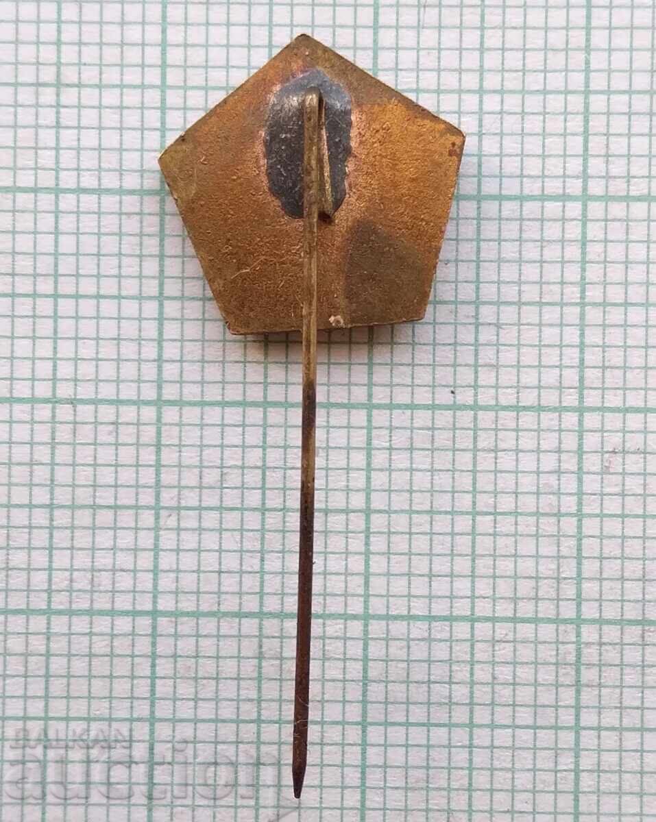 Auction  17854 Badge