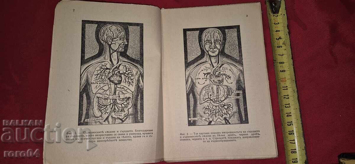 Auction HOW TO PROTECT YOUTH AND TREAT ARTHEREOSCLEROSA Auction HOW TO PROTECT YOUTH AND TREAT ARTHEREOSCLEROSA