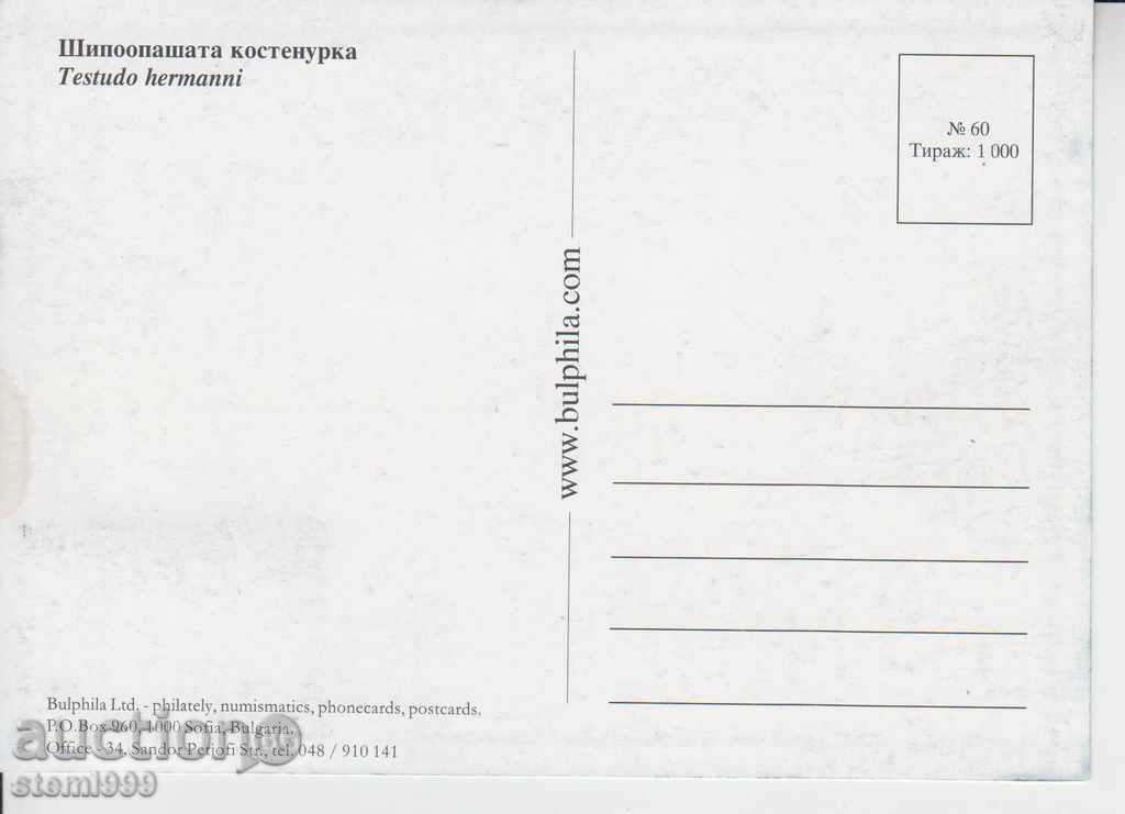 Map maximum turtles with price 2.00 BGN | € 1.02 Map maximum turtles with price 2.00 BGN | € 1.02