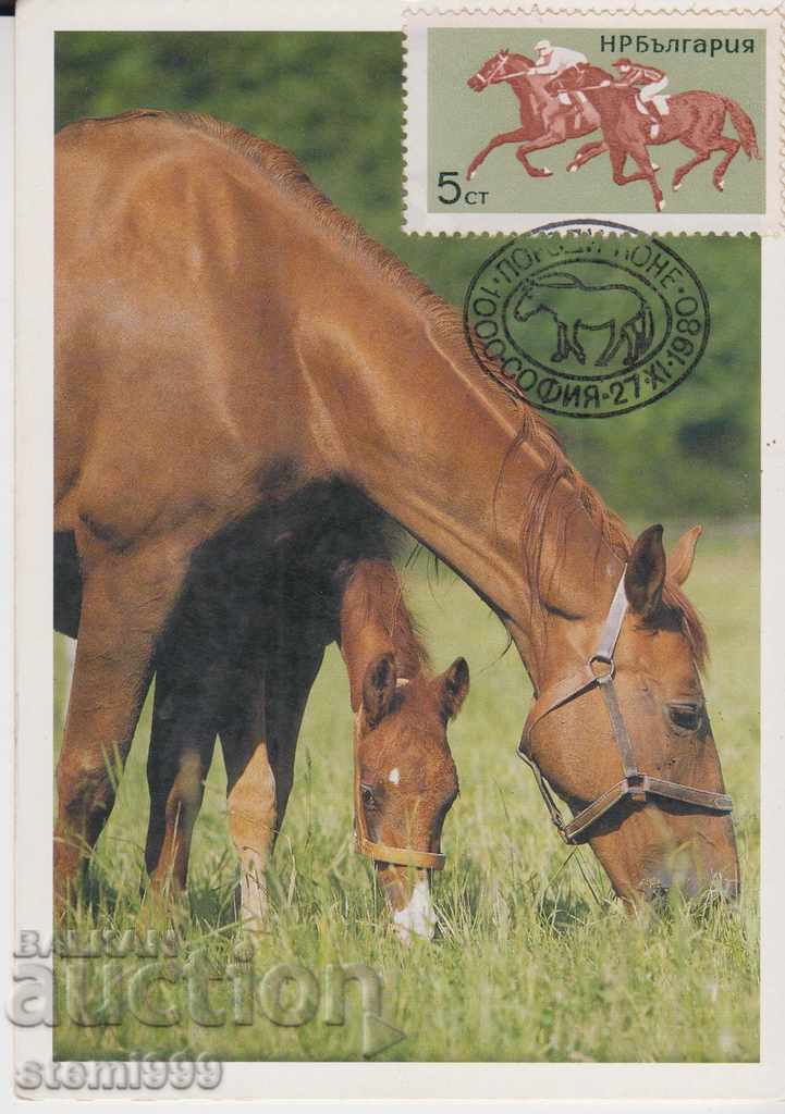 Card maxim FDC Cai Card maxim FDC Cai