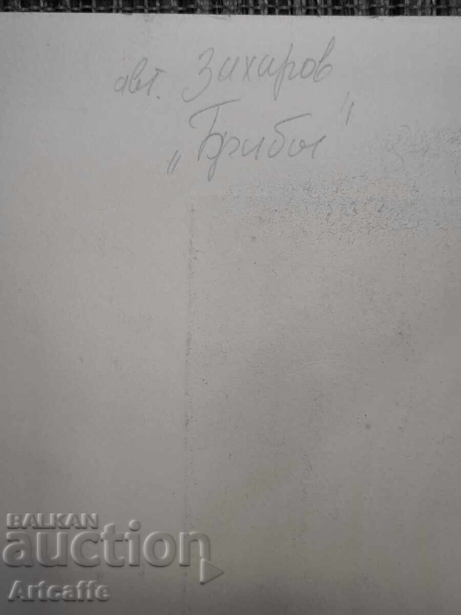 Γραφίστας Zaharov Gabi - Village - 5