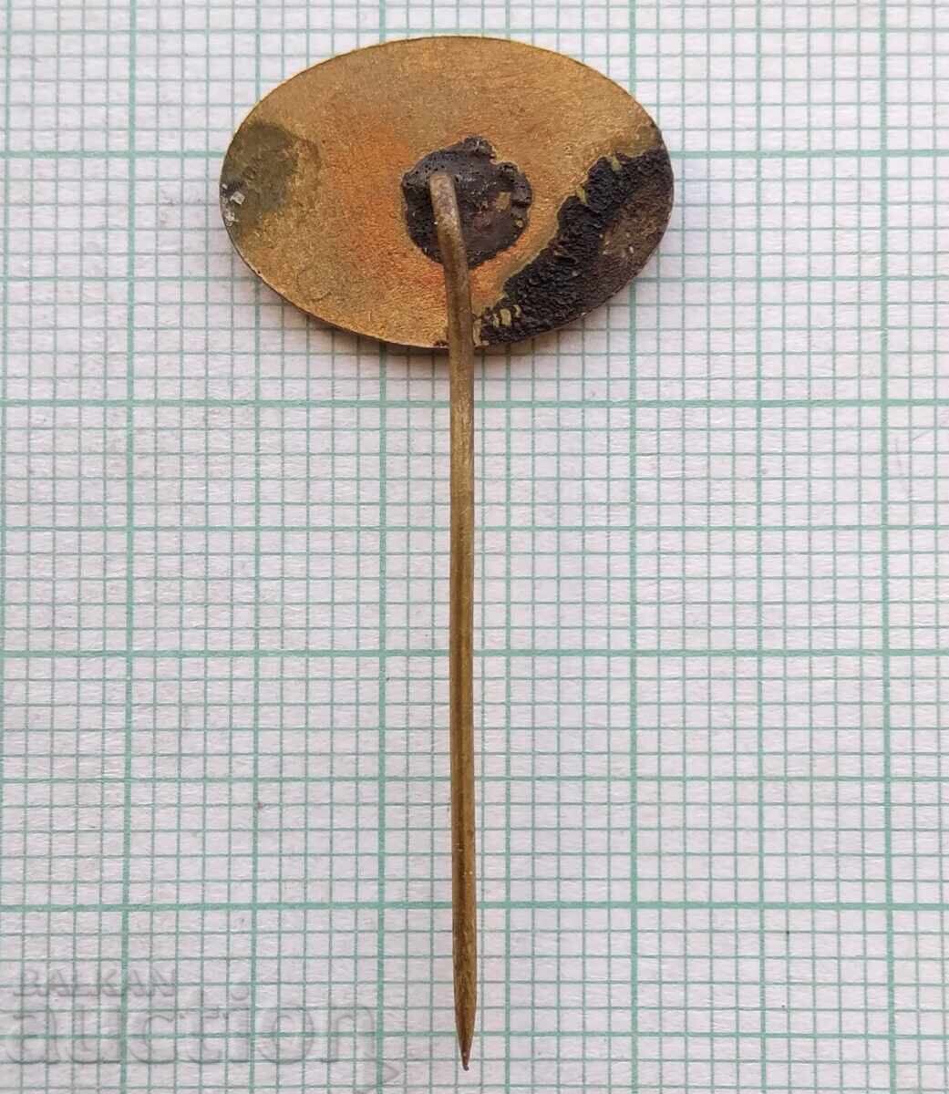 Auction 17869 Badge Auction 17869 Badge