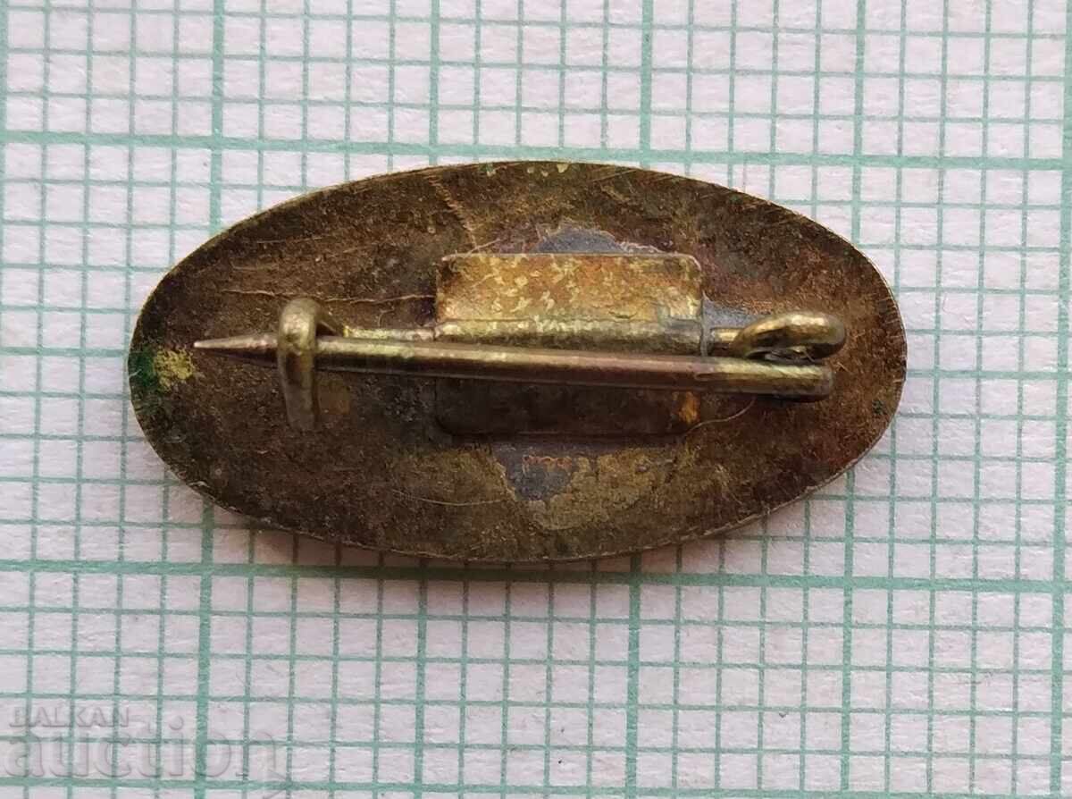 Auction 17871 Badge - Express Auction 17871 Badge - Express