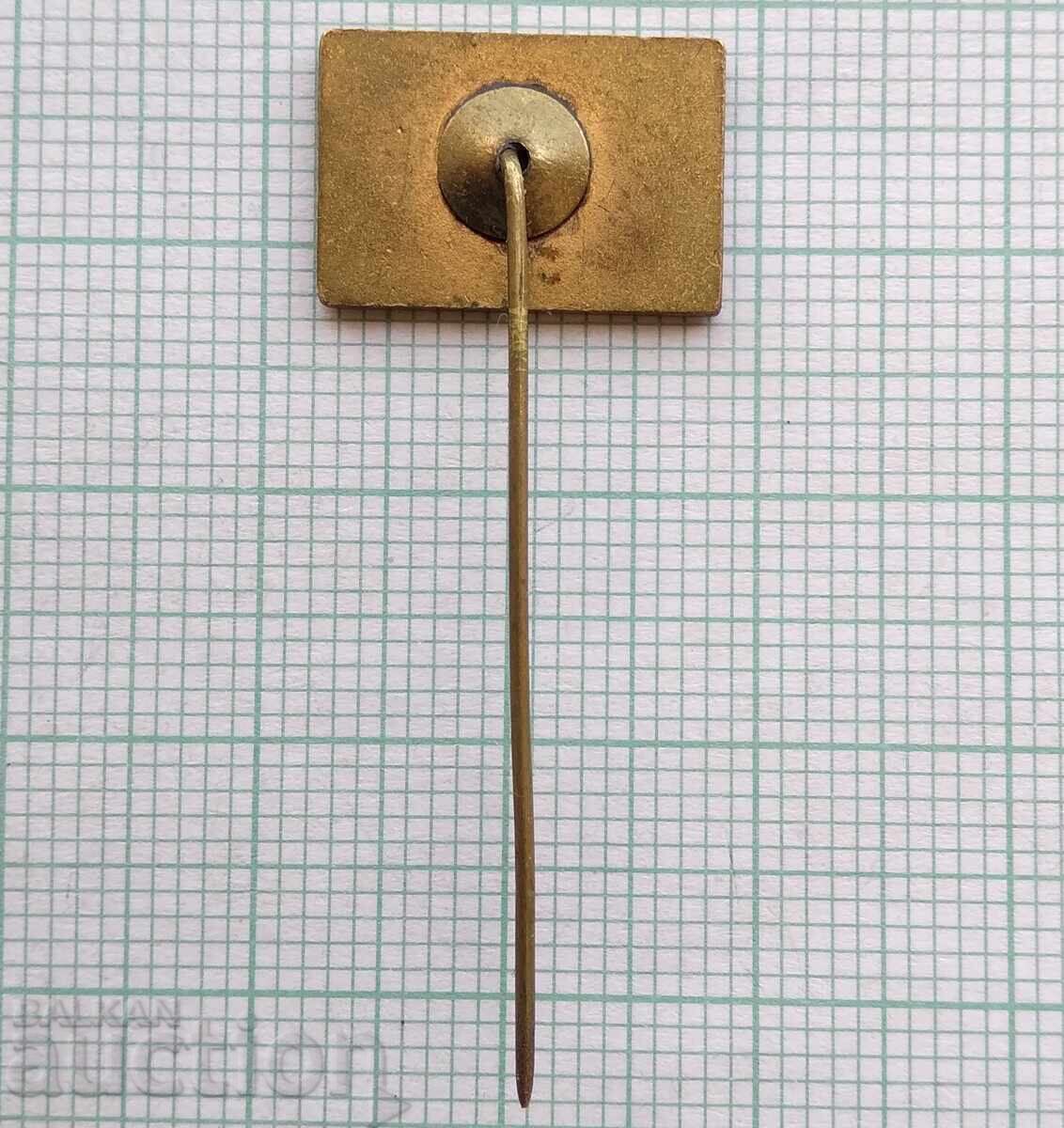 Licitație 17875 Insigna - iai - email bronz Licitație 17875 Insigna - iai - email bronz