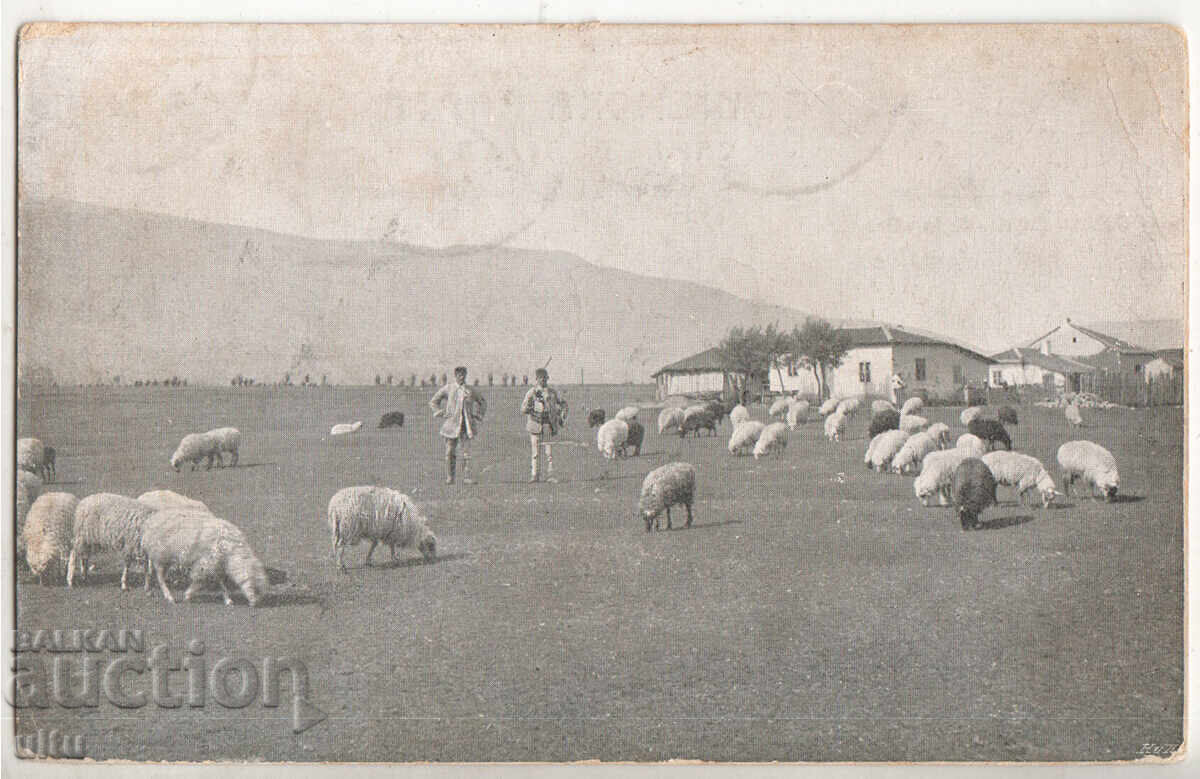 Bulgaria, Sofia, Outskirts of the city, traveled