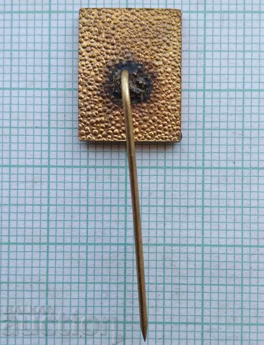 Auction 17882 Badge - Friendship Tournament Auction 17882 Badge - Friendship Tournament