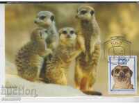 Postcard FDC 120 years Sofia Zoo Meerkat