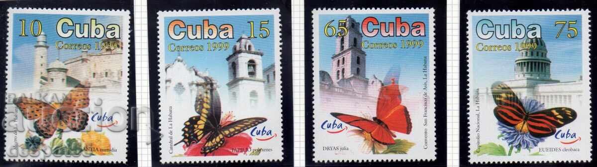 1997. Cuba. Butterflies. 1997. Cuba. Butterflies.