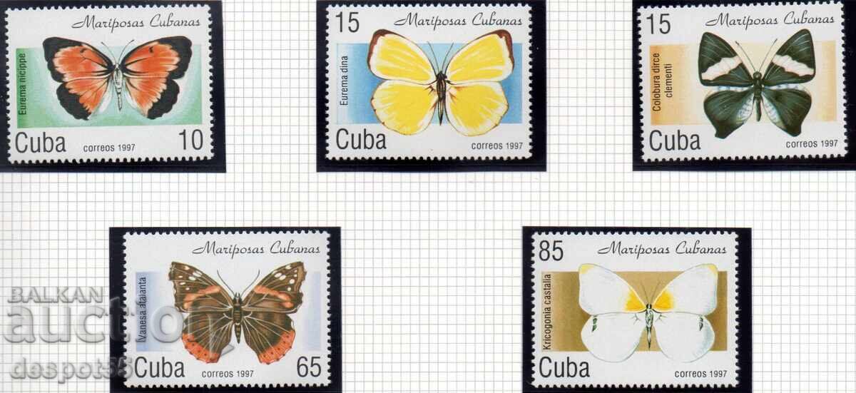 1997. Κούβα. πεταλούδες. 1997. Κούβα. πεταλούδες.