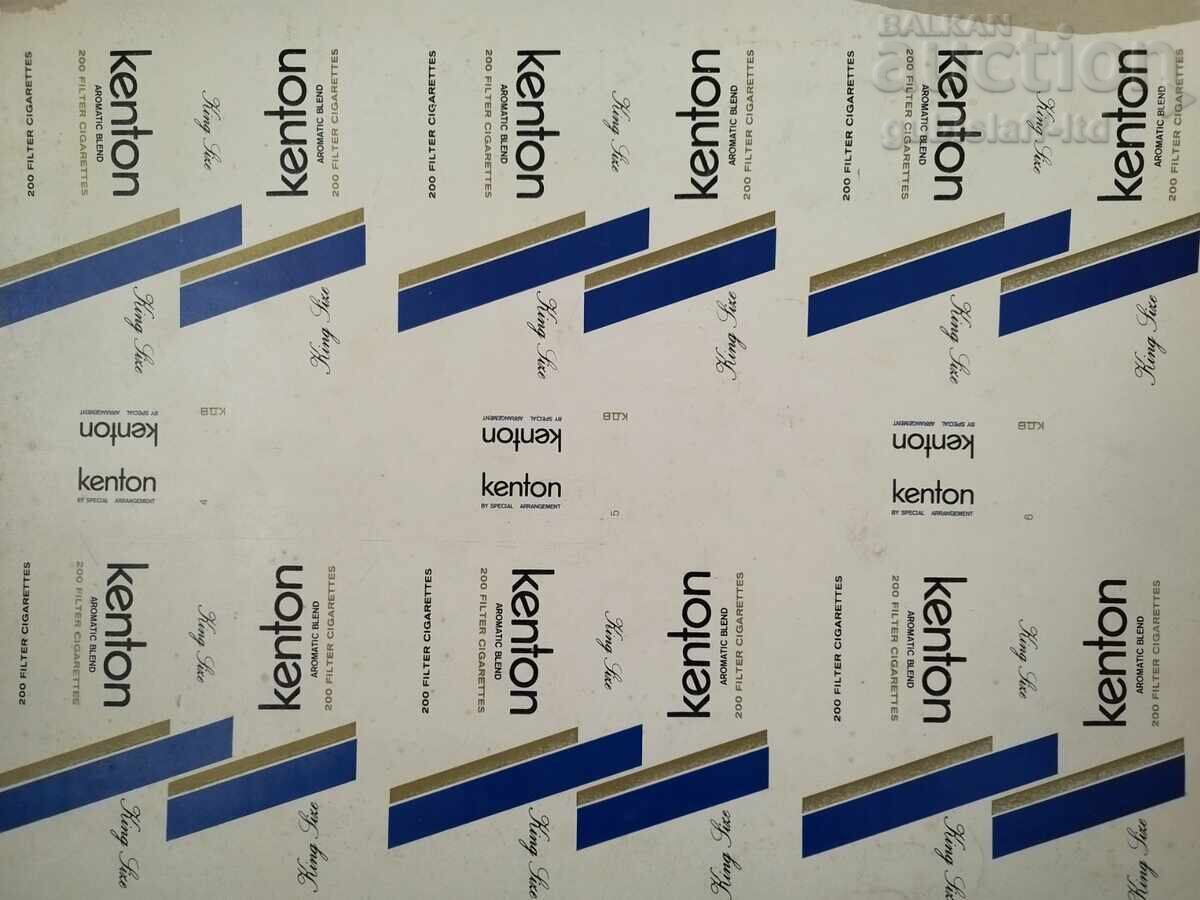 Licitație Pictură, suprarealism, semnat „Dinka”, 1994. Licitație Pictură, suprarealism, semnat „Dinka”, 1994.