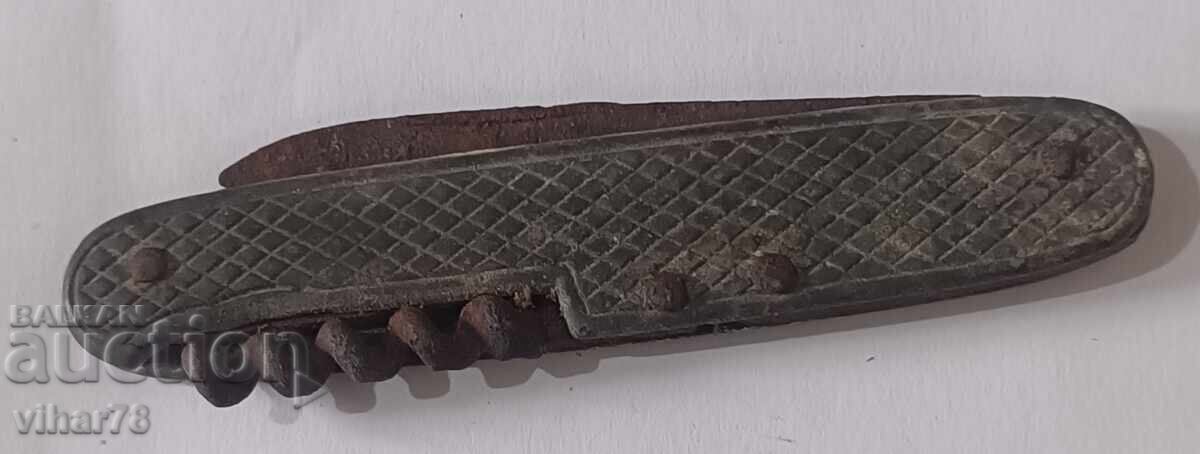 PICIOSA DE BUZUUNAR - 5