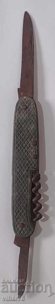 PICIOSA DE BUZUUNAR - 6