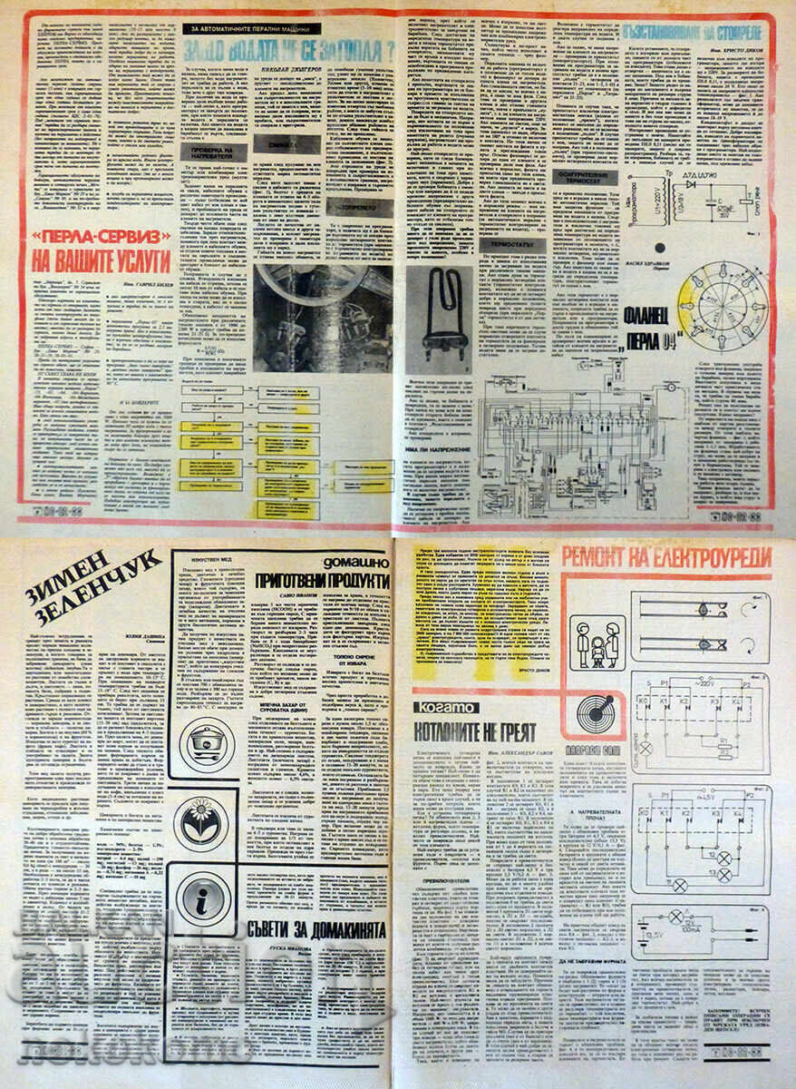 Auction  Newspaper: "DO IT YOURSELF"