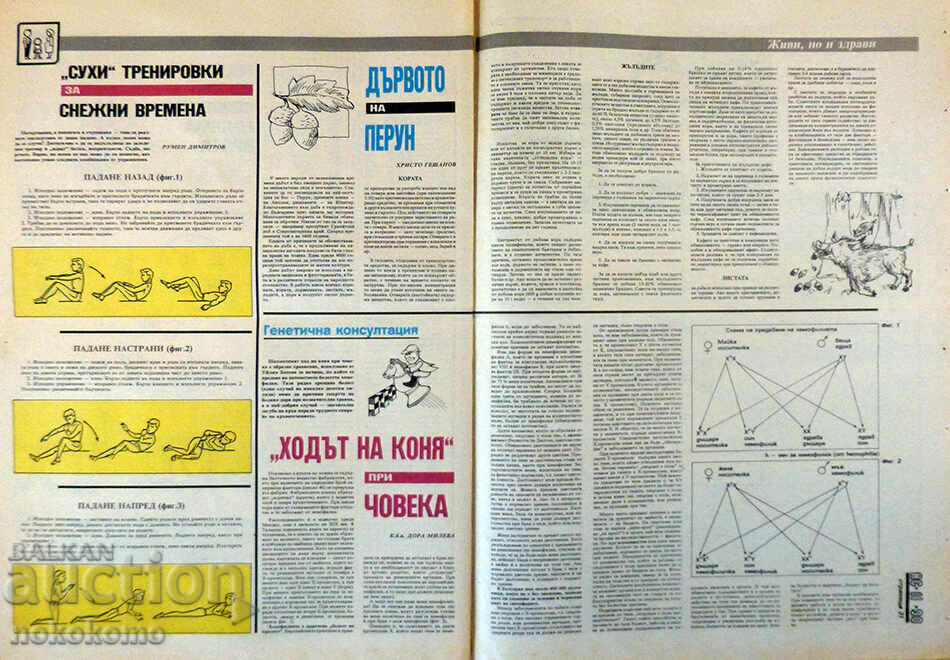 Newspaper: "DO IT YOURSELF" - 6 Newspaper: "DO IT YOURSELF" - 6