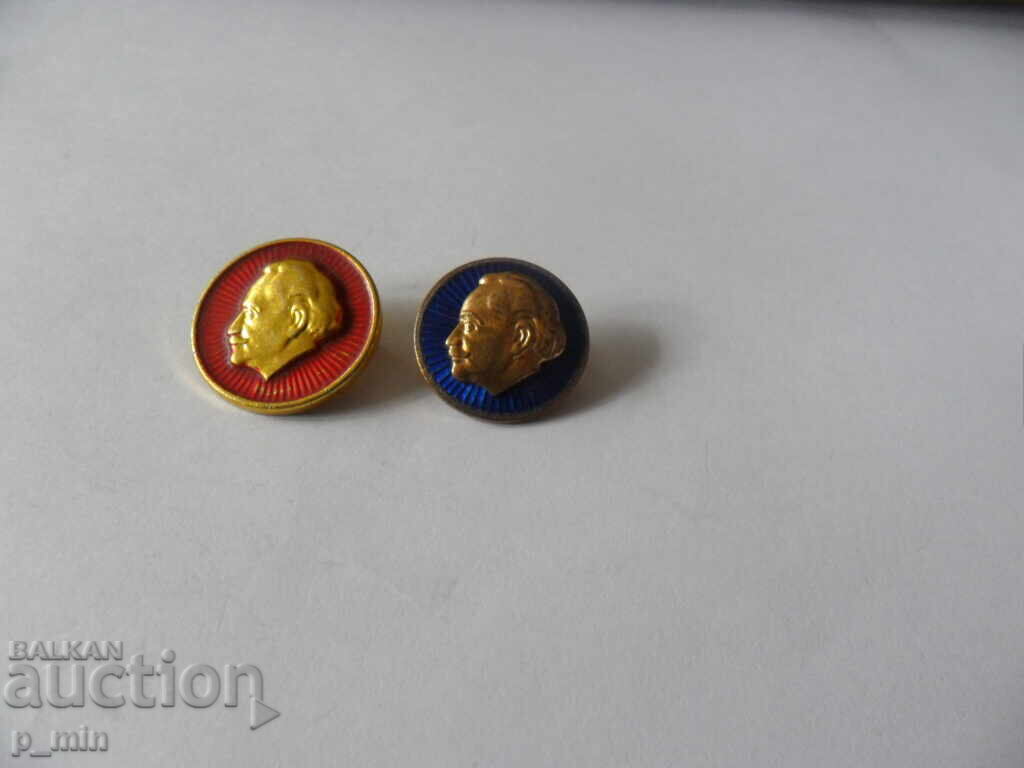 στήθος ζνζι με τιμή 5.00 BGN | € 2.56