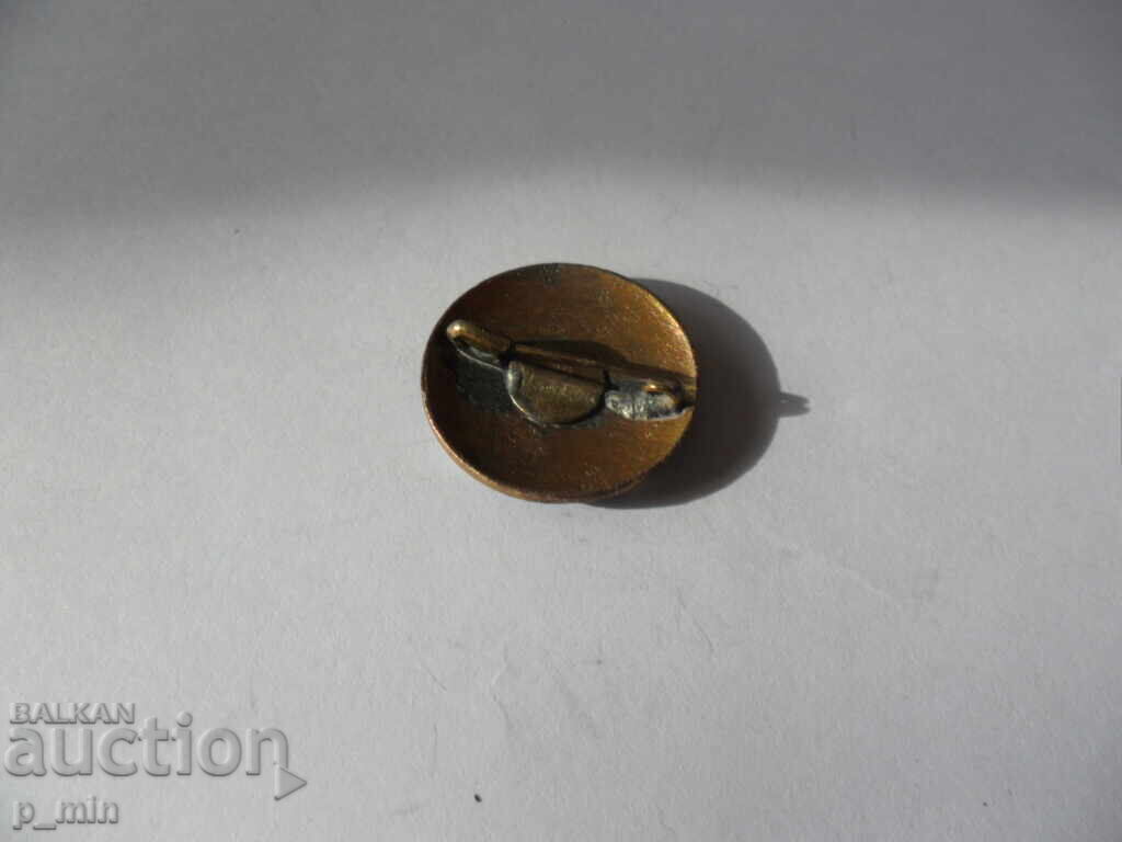 insigna cu preț 3.00 BGN | € 1.53