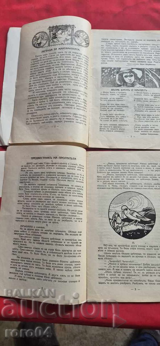 Δημοπρασία ΠΑΙΔΙΚΟΣ ΚΟΣΜΟΣ