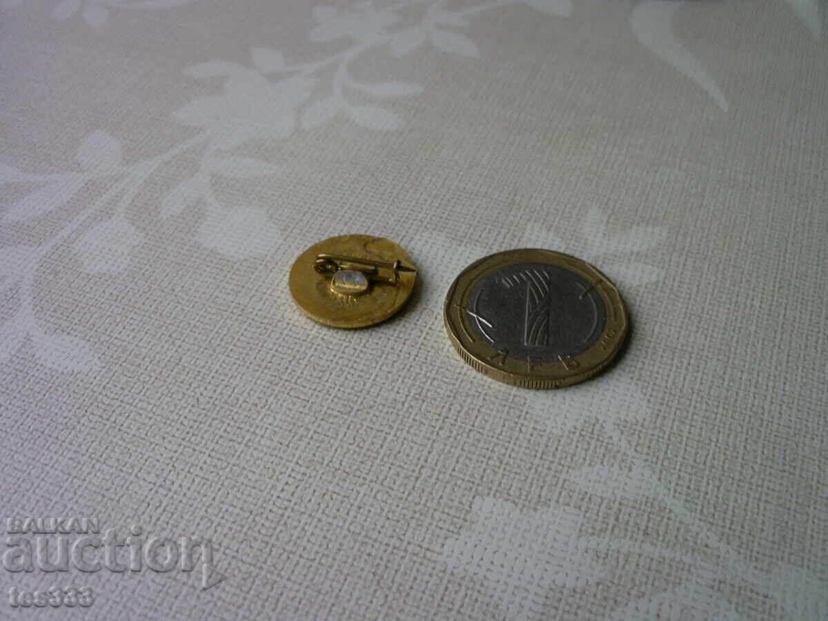 Σήμα τριαντάφυλλου BSP - 5