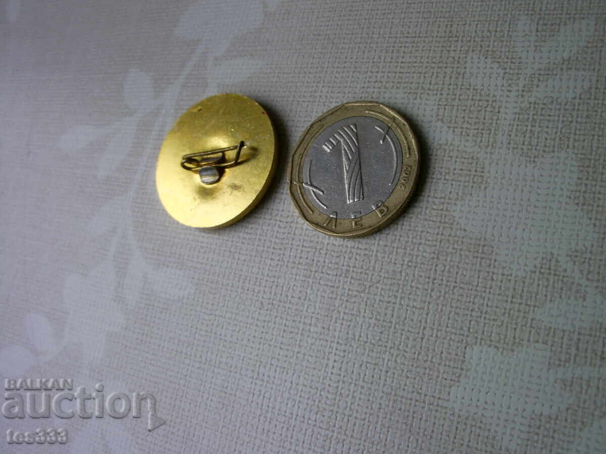 Значка Рилски турист Самоков 1902 - 6