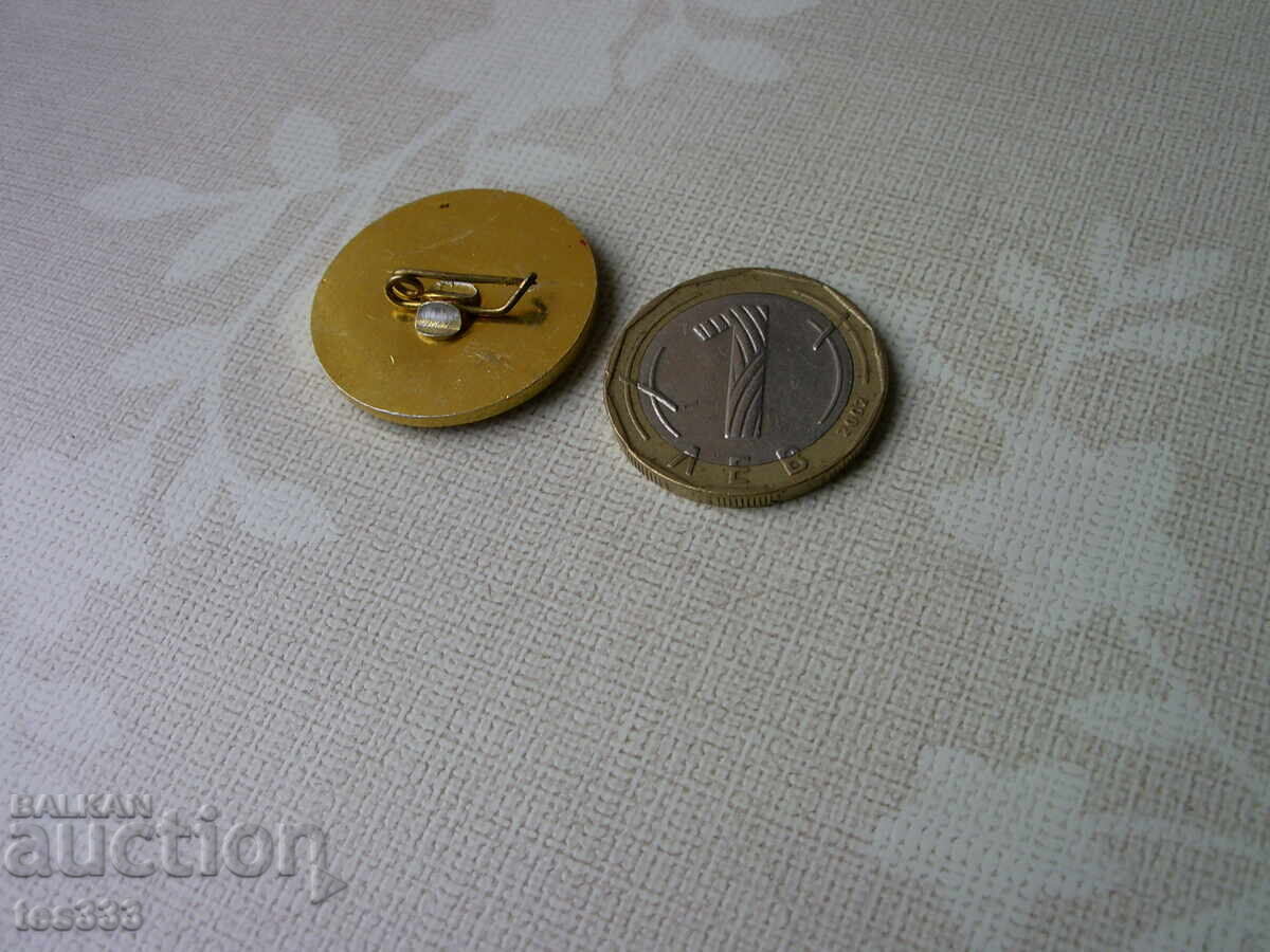 Значка Рилски турист Самоков 1902 - 7