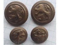 17924 Buttons for military uniform Lion Lion cub LOT-4pcs