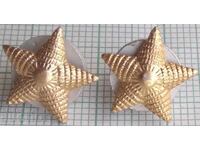 17935 Five-pointed Star for military uniform - screw - LOT-2pcs