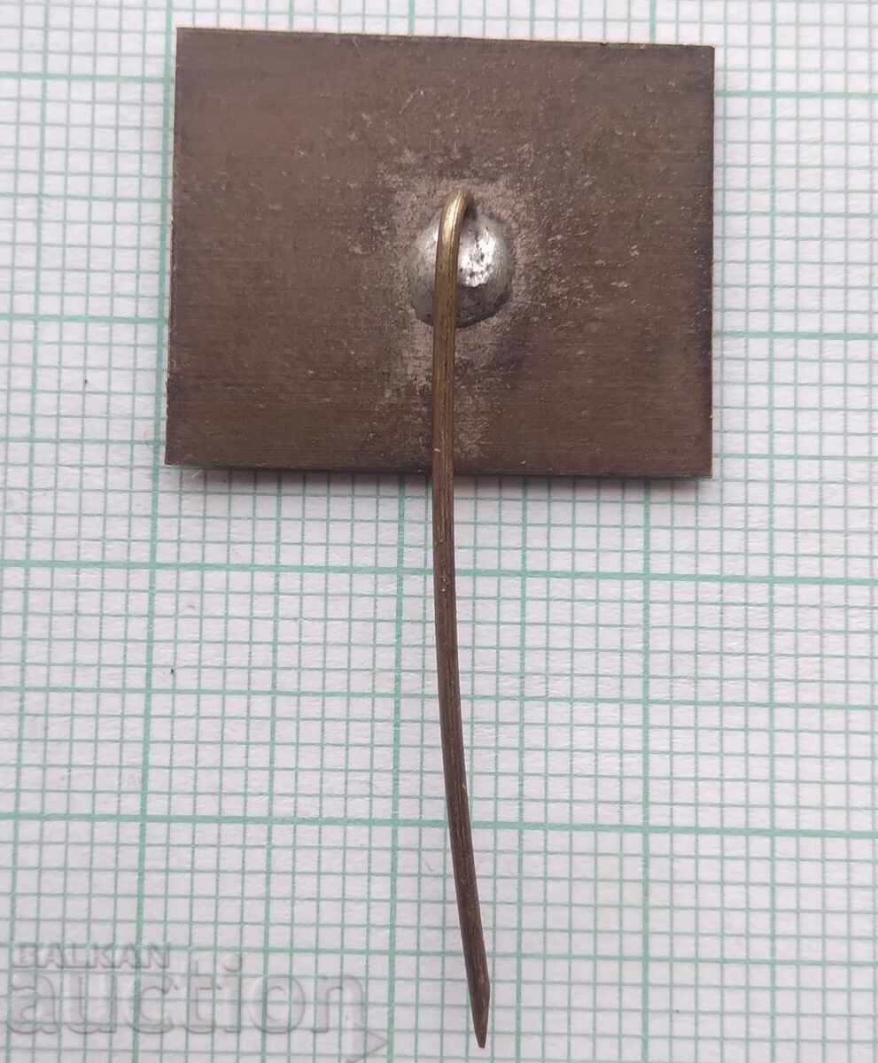 Auction  17943 Pencho Slaveykov Community Center - Tryavna 100 years