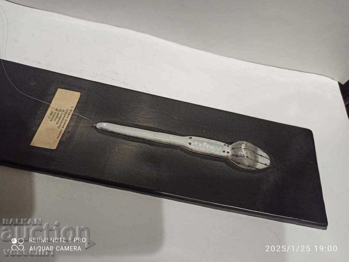 Old sign, educational board - device of SPERMATOZOID 50cm/ with price 45.00 BGN | € 23.01