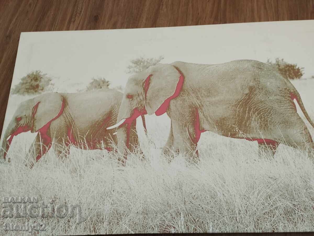Auction  Framed vinyl painting "Elephants"