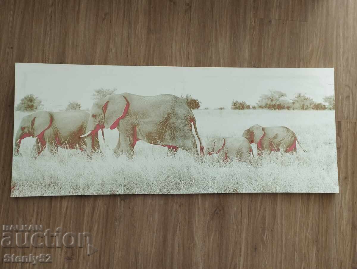 Framed vinyl painting "Elephants"