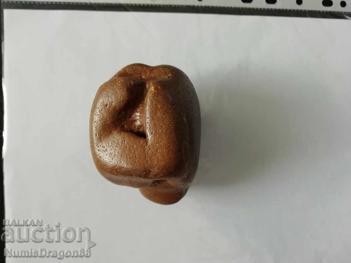 Delivery of Fossil vertebra from a prehistoric dolphin Delivery of Fossil vertebra from a prehistoric dolphin