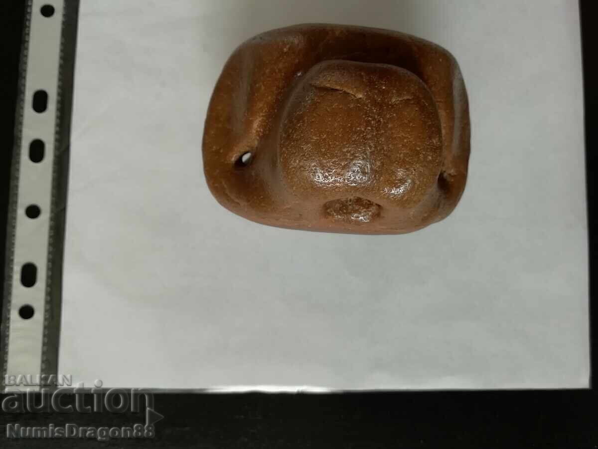 Fossil vertebra from a prehistoric dolphin - 5 Fossil vertebra from a prehistoric dolphin - 5