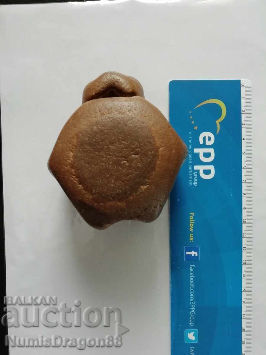 Fossil vertebra from a prehistoric dolphin Fossil vertebra from a prehistoric dolphin