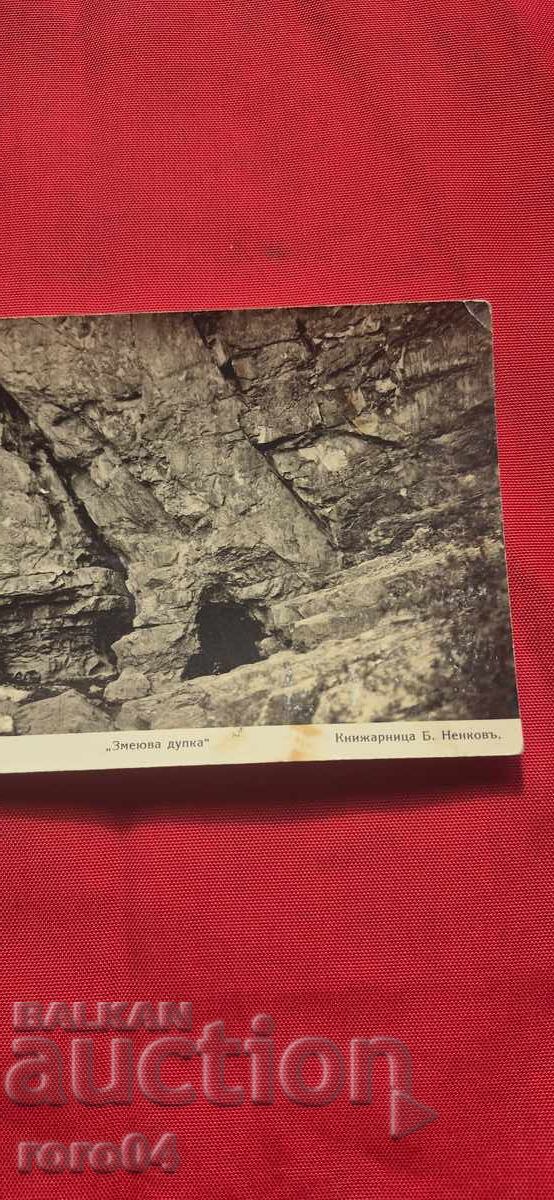 Delivery of TRYAVNA - "ZMEYUVA DUPKA" - RESORT Delivery of TRYAVNA - "ZMEYUVA DUPKA" - RESORT