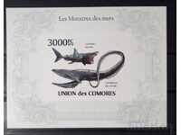 Comore 2009 Fauna/Animale/Fish Block MNH