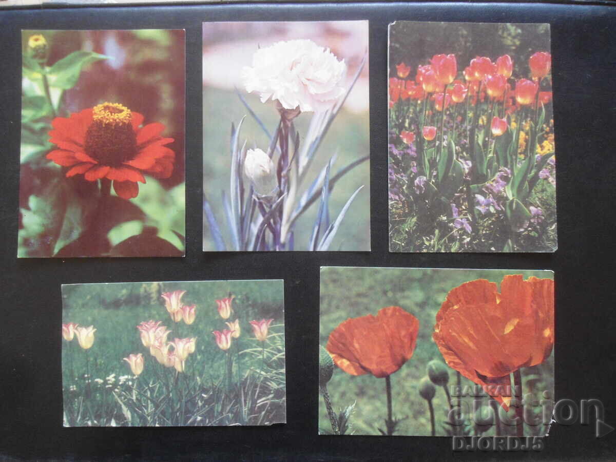 Old Bulgarian greeting cards, 10 pieces with price 2.00 BGN | € 1.02 Old Bulgarian greeting cards, 10 pieces with price 2.00 BGN | € 1.02