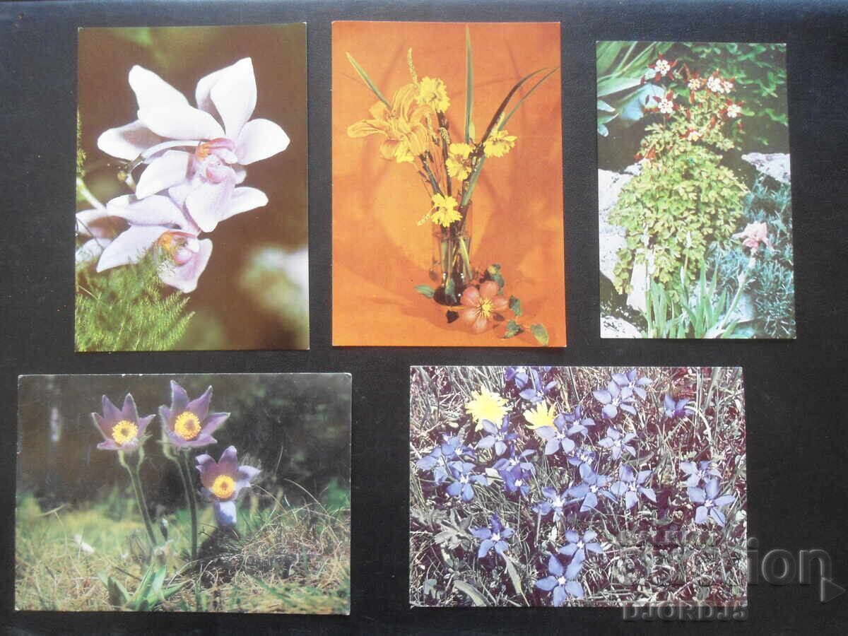 Auction Old Bulgarian greeting cards, 10 pieces Auction Old Bulgarian greeting cards, 10 pieces