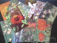 Old Bulgarian greeting cards, 10 pieces