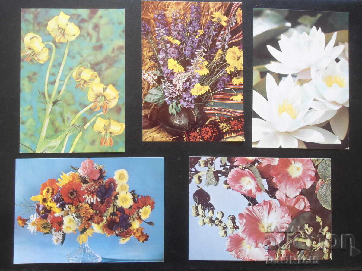 Old Bulgarian greeting cards, 10 pieces with price 3.00 BGN | € 1.53