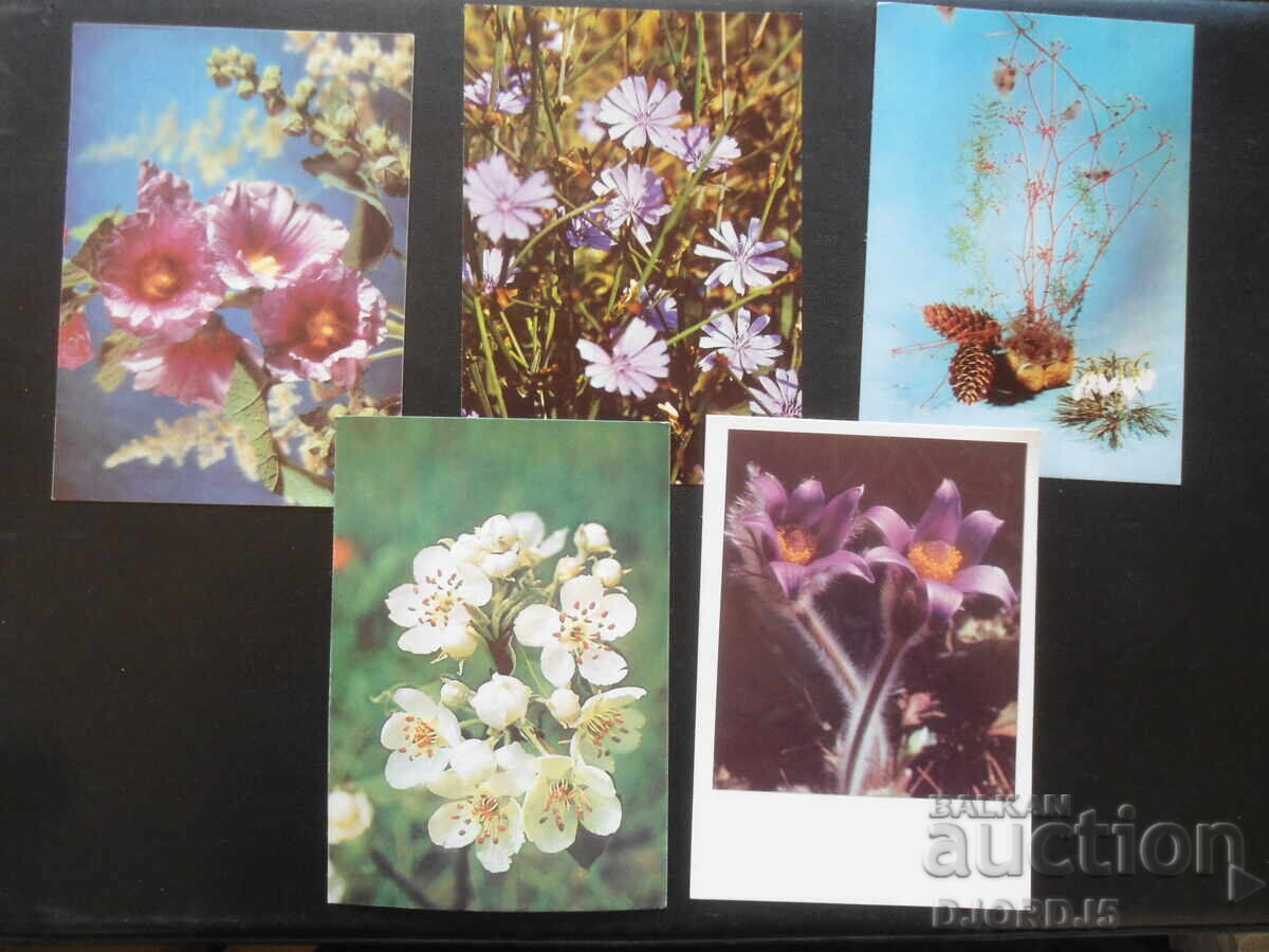 Auction Old Bulgarian greeting cards, 10 pieces Auction Old Bulgarian greeting cards, 10 pieces