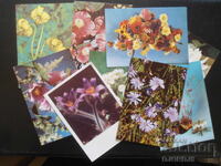 Old Bulgarian greeting cards, 10 pieces