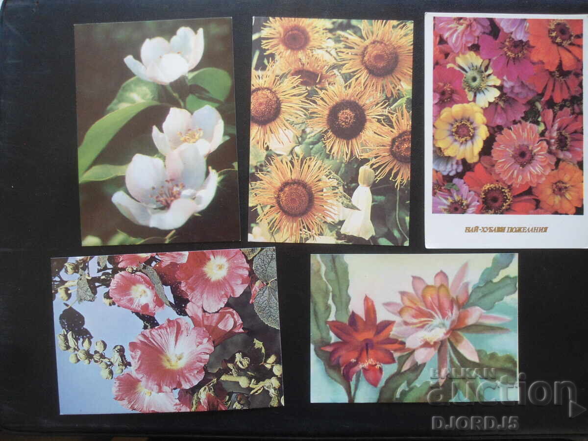 Old Bulgarian greeting cards, 10 pieces with price 3.00 BGN | € 1.53 Old Bulgarian greeting cards, 10 pieces with price 3.00 BGN | € 1.53
