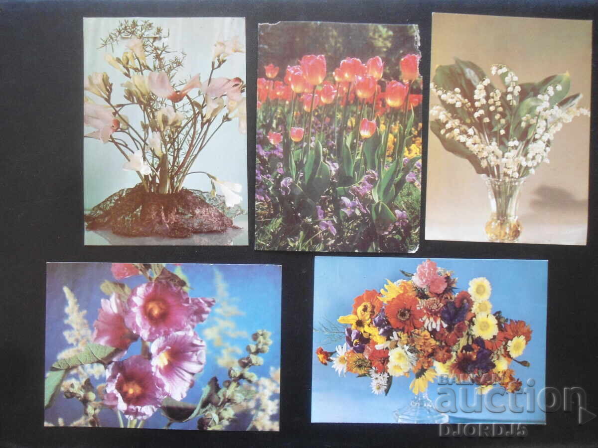 Auction Old Bulgarian greeting cards, 10 pieces Auction Old Bulgarian greeting cards, 10 pieces