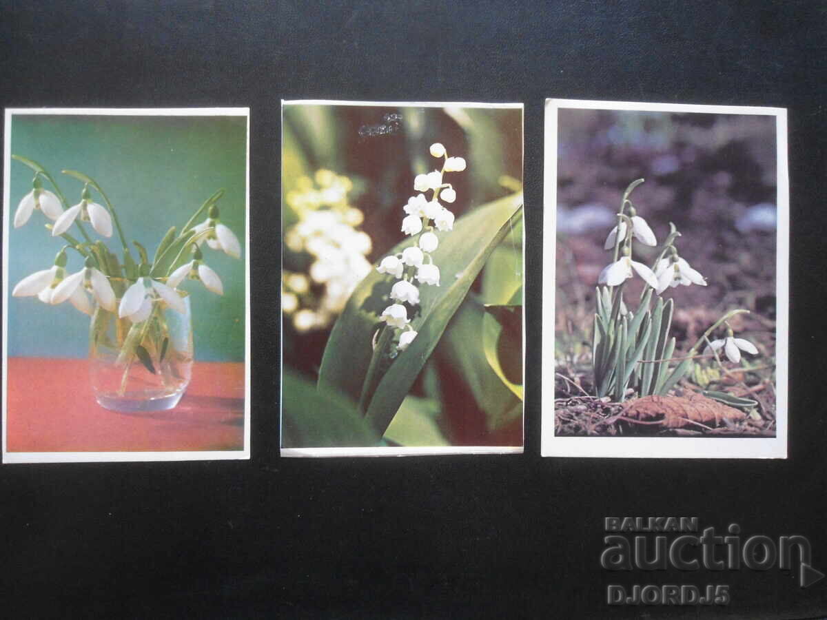 Old Bulgarian greeting cards, 10 pieces with price 3.00 BGN | € 1.53 Old Bulgarian greeting cards, 10 pieces with price 3.00 BGN | € 1.53