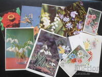 Old Bulgarian greeting cards, 10 pieces