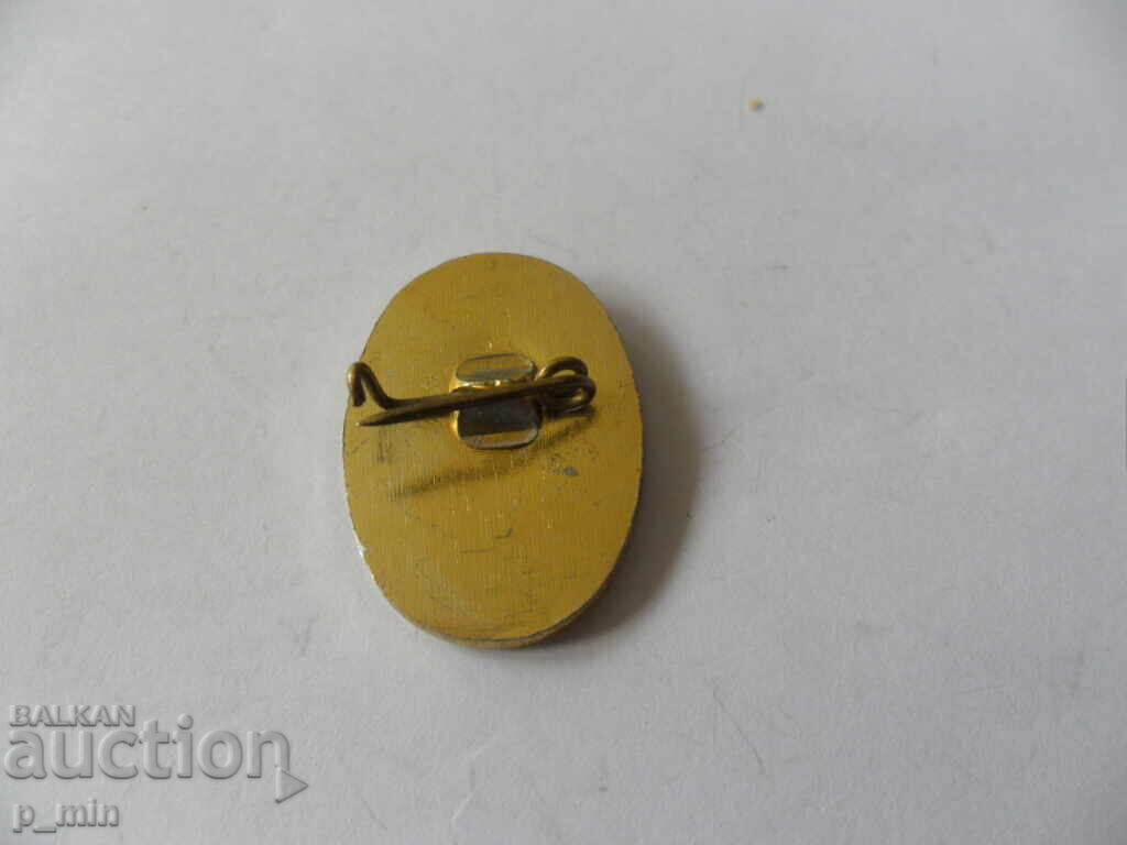 badge - Civil Engineering Technical School Hr. Botev with price 3.00 BGN | € 1.53 badge - Civil Engineering Technical School Hr. Botev with price 3.00 BGN | € 1.53