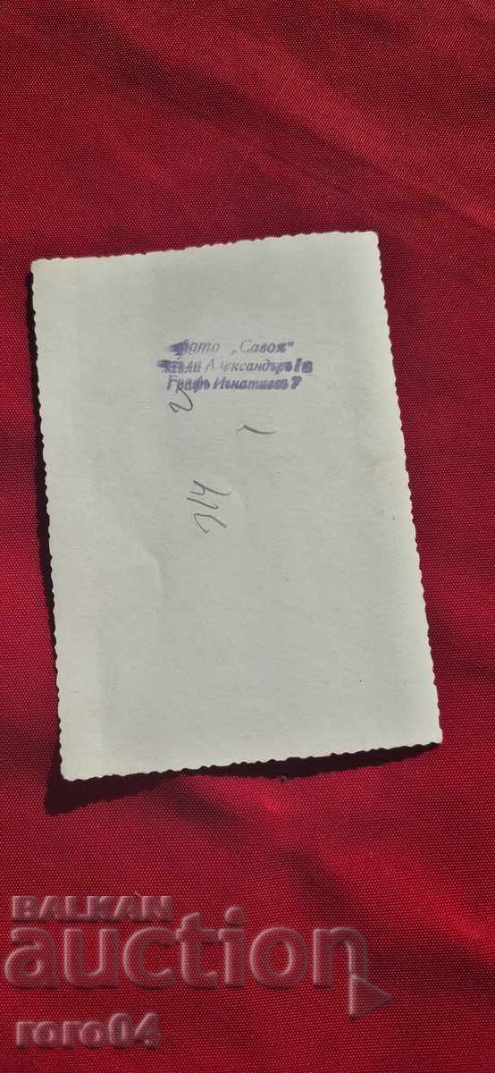 SOFIA - PHOTO - SAVOYA - 6 SOFIA - PHOTO - SAVOYA - 6